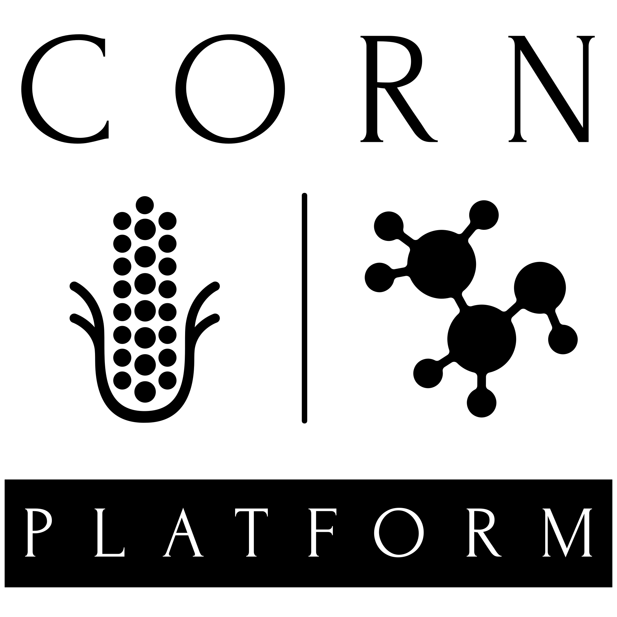 CORN PLATFORM Moldova