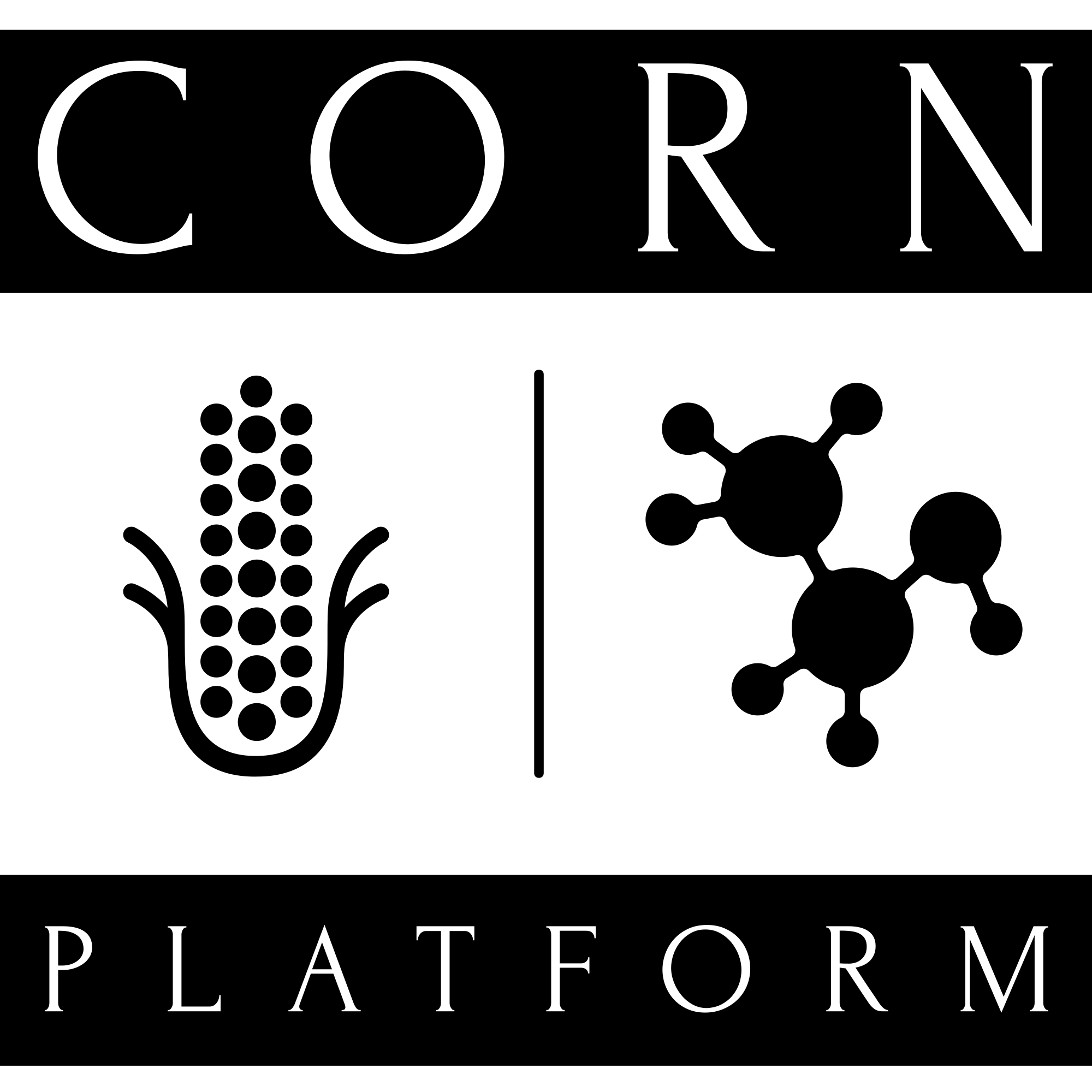 CORN PLATFORM® Moldova